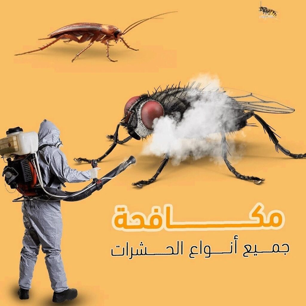 شركة مكافحة حشرات بالجبيل